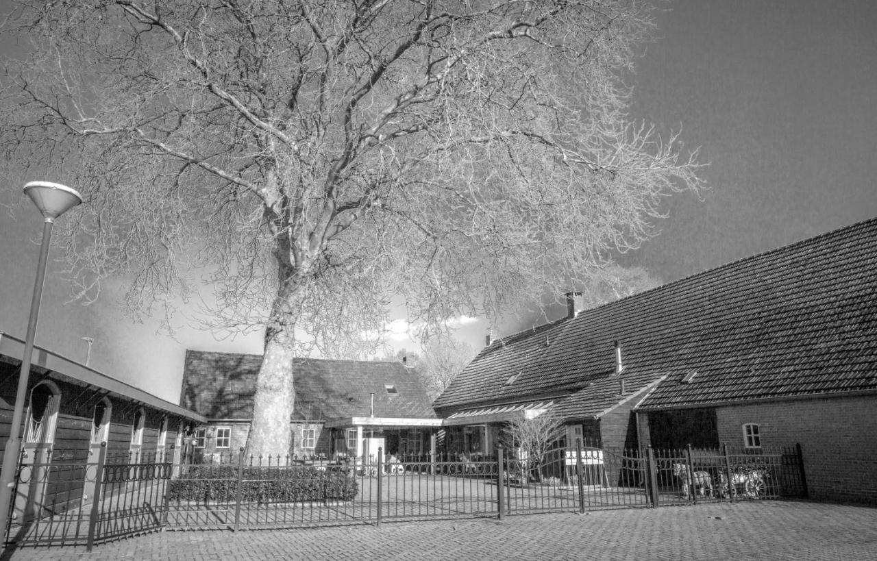 Bed and Breakfast Bed En Box 3610 Oirschot Exterior foto